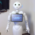 ペパタイマー6