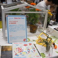 Maker Faire Tokyo 2016でいろんなロボットとかを見てきました (1)