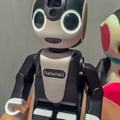 robohon02