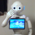 どうぶつあて8