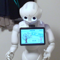 unotan5