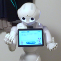 unotan6