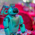 robores05