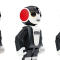 robohon_accessory-02