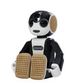 robohon_accessory-01