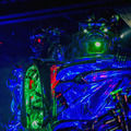 robores18