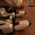 robores28