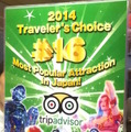 trip Advisror 16位