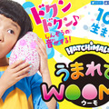 <p>シェア 0 ツイート 0 はてブ 0</p>