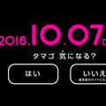 woomo-02