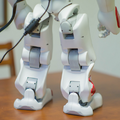 nao