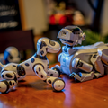 aibo