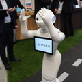 金融国際情報技術展(FIT2016)に行ってきました – Pepper、PALRO、ロボピン、IBM Watsonと連携したロボコットなどを展示