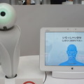 金融国際情報技術展(FIT2016)に行ってきました – Pepper、PALRO、ロボピン、IBM Watsonと連携したロボコットなどを展示