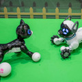 animal robot