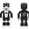 robohon02