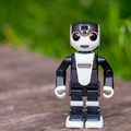 robohon01