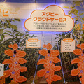 P1090405