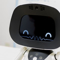 unibo-014