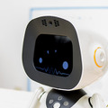 unibo-016
