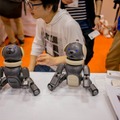 japan-robot-week-2016_29790119743_o