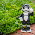 robohon-00