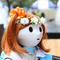 アキバハロウィンでロボライブオンステージが開催されました