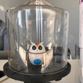 IBM Watsonを活用したパーソナルガイドロボット「ZUKKU(ズック)」