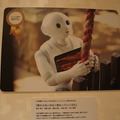 <p>SONY DSC</p>