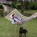 hammock drone04