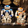 <p>SONY DSC</p>