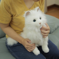 yumeneko01