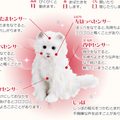 yumeneko02