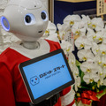 <p>シェア 0 ツイート 0 はてブ 0</p>