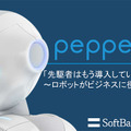 pep-akb-31