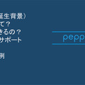 pep-akb-32