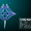 flying-manta6