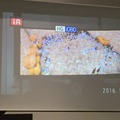 IMG_1272