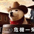 fig_main