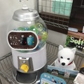 pepper04