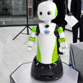 ROBOVIE
