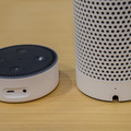 echo and dot03