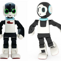 robi and zero