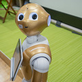 pepper22