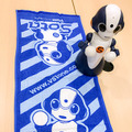 08-sota-towel