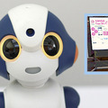 <p>シェア 0 ツイート 0 はてブ 0</p>