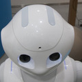Pepper-02-b02a