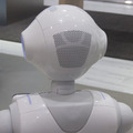Pepper-02-b03