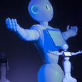 Pepper-02-a12