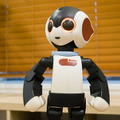 robi-03